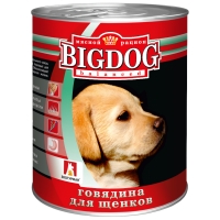  Big Dog    850