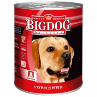  Big Dog    850