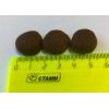  ZooRing Active Dog       10