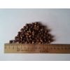  ZooRing   Adult Cat Turkey Salmon Grain free (    ) 10 ( )