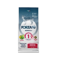 Корм Forza10 Diet Medium Maxi MonoP Adu SensDig Pesce DRY с анчоусами 10кг Гипоаллергенная формула
